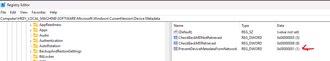 Registry Editor showing PreventDeviceMetadataFromNetwork set to 1